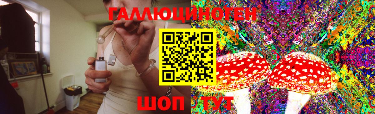 Псилоцибиновые грибы GOLDEN TEACHER Махачкала