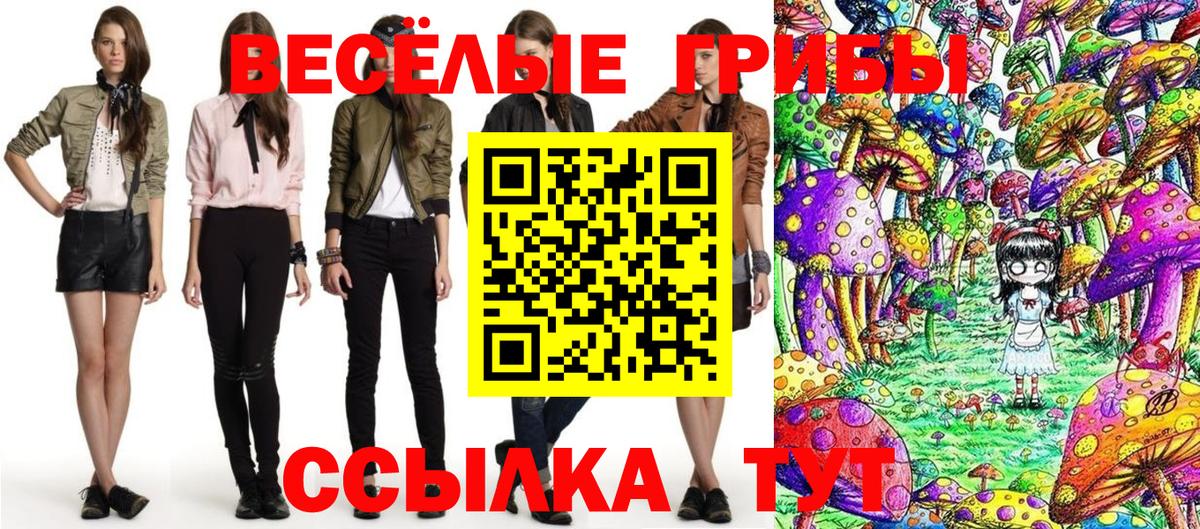 Псилоцибиновые грибы Magic Shrooms  Галлюциногенные грибы Cubensis  Вход с VPN  Махачкала 
